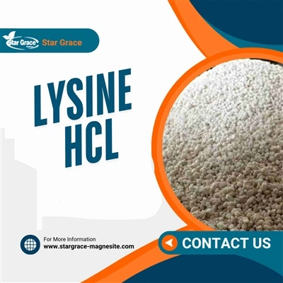 Wawasan Pasar tentang Lysine HCl