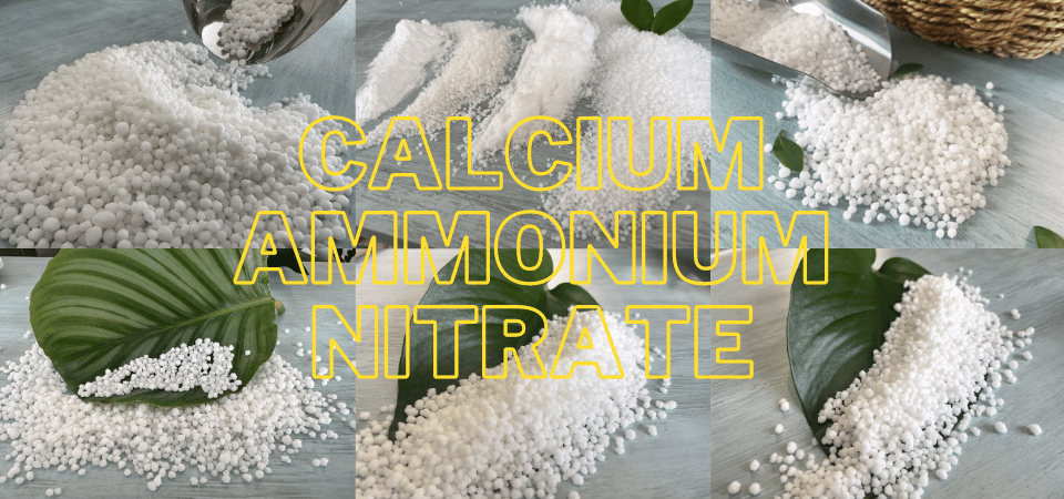 product-960-450