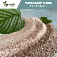 Magnesit Magnesium Oksida Kalsinasi Kaustik ke Pasar Malaysia