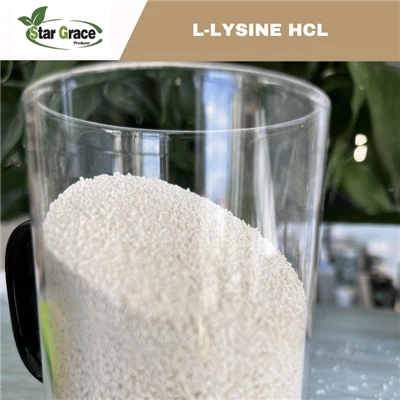 Harga L-Lysine HCl yang Menguntungkan