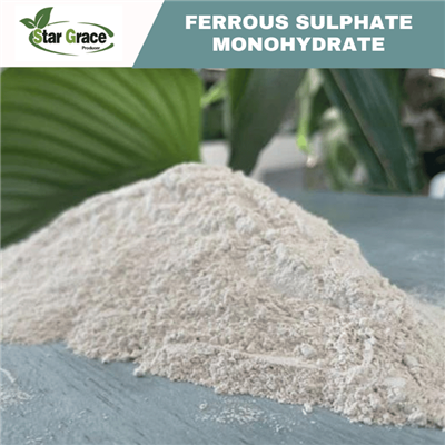 Ferrous Sulfate Monohydrat (Kelas Pakan)