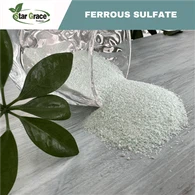 Ferrous Sulfate Heptahydrat (Pupuk)
