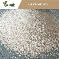 L-Lisin HCL 98,5% Kelas Pakan