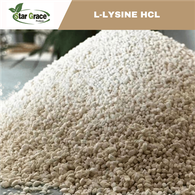 L-Lysine HCL untuk Ayam