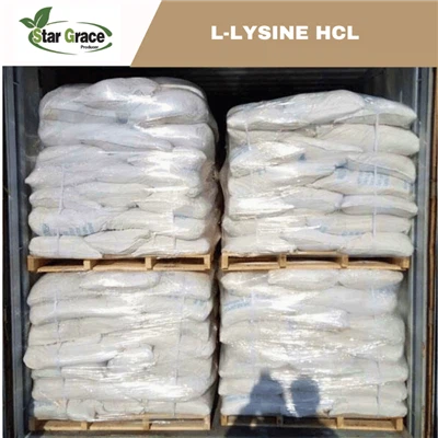 Harga L Lysine HCI