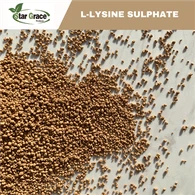 L-Lysine Sulphate dengan Merek GPT