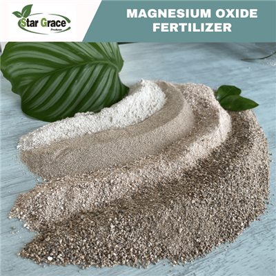 Granular Magnesium Oksida untuk Bahan Tambahan Pakan