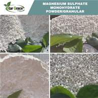Pupuk Magnesium Sulfat