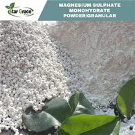 Magnesium Sulfat Monohidrat 99%