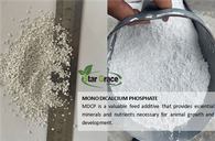 Mono Dicalcium Phosphate(MDCP) dalam Industri Pakan Ternak