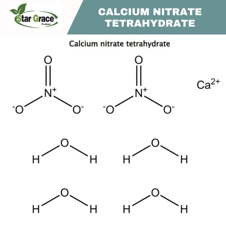 Positive Effect of Calcium Salt o Soybeans