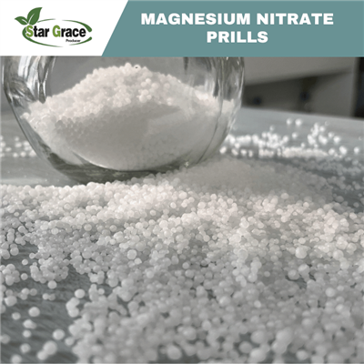 Magnesium Nitrat Mg(NO3)2