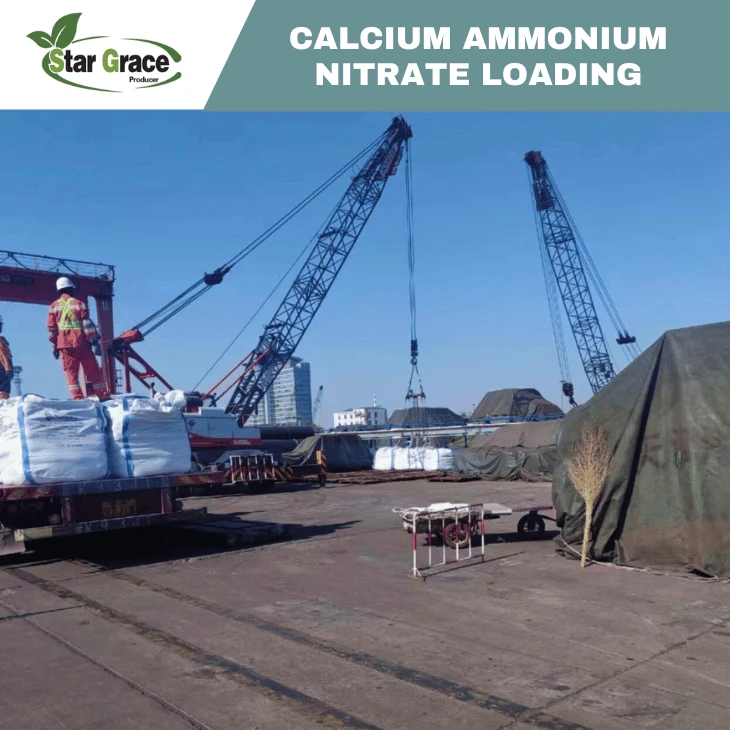 Calcium Ammonium Nitrate As The New Standard in Modern Farming