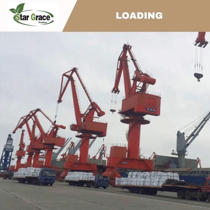 High Quality L-Lysine Monohydrochloride