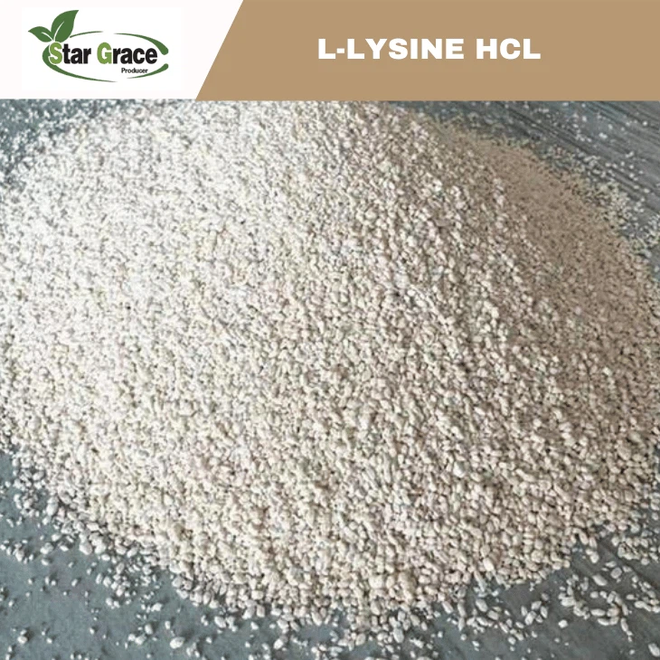 L-Lysine HCI MSDS