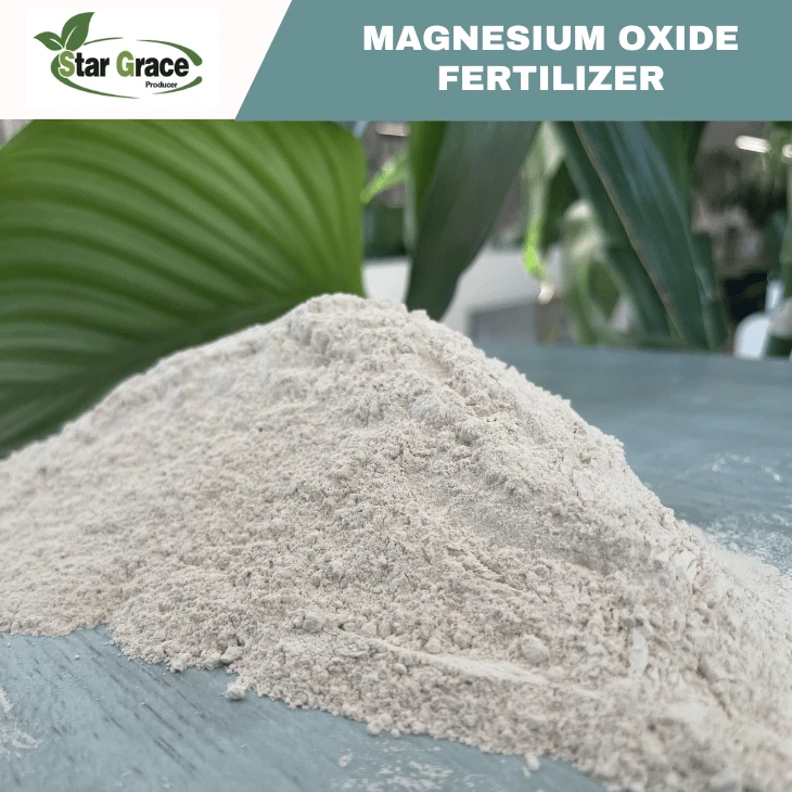 Magnesium Oxide Heavy