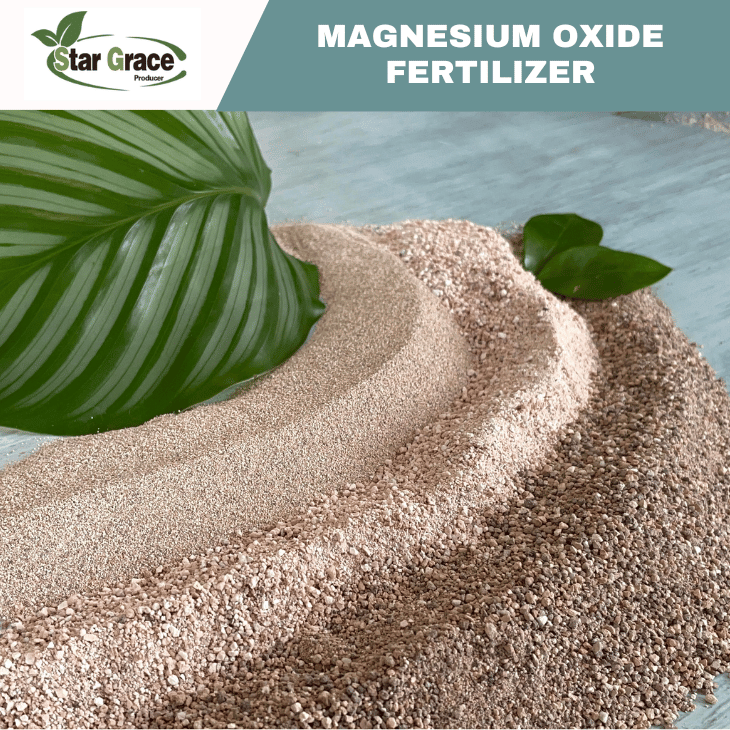 Magnesium Oxide Powder for Animal Feed Additives