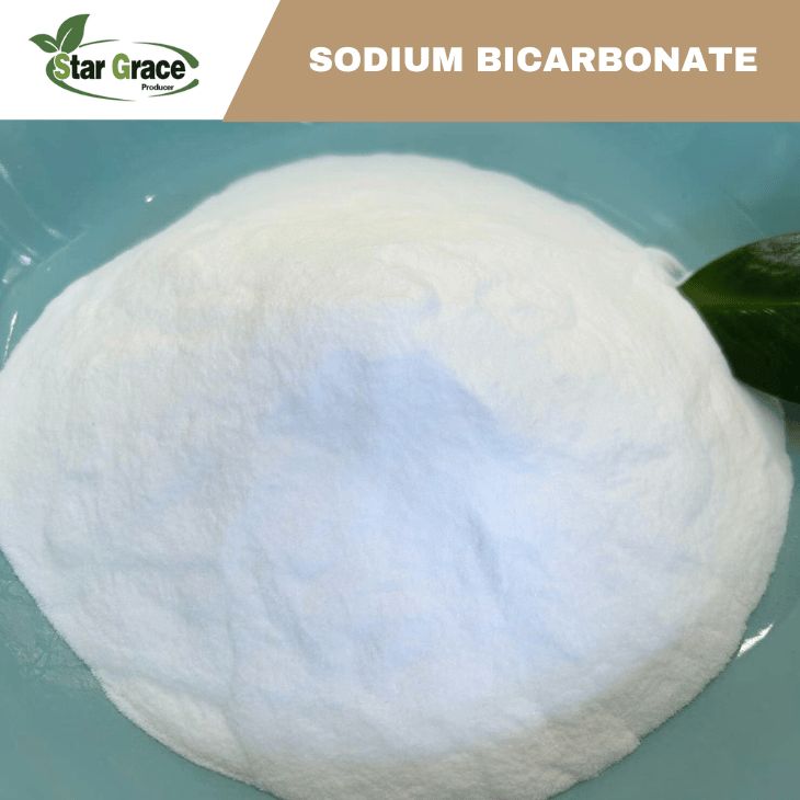 Sodium Bicarbonate Baking Soda